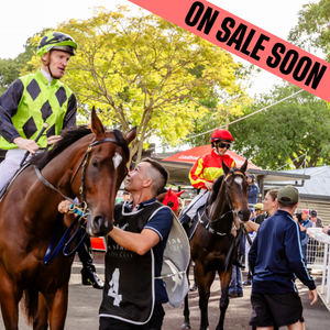 mounting yard at doomben